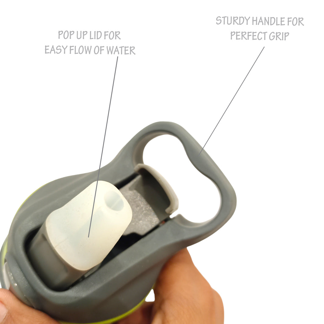 Green Gym Sipper Bottle