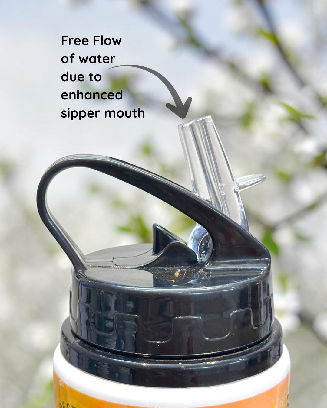Manifestation Aluminium Sipper